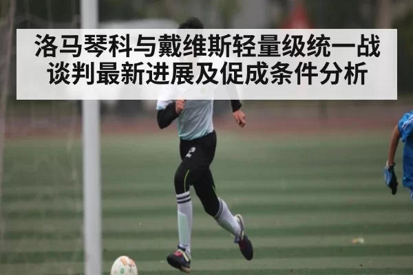 洛马琴科与戴维斯轻量级统一战谈判最新进展及促成条件分析
