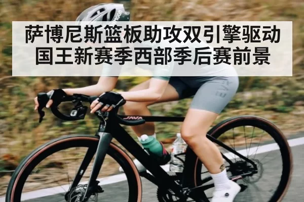 萨博尼斯篮板助攻双引擎驱动国王新赛季西部季后赛前景